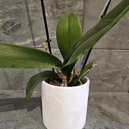 Ferienhaus La Casa - Familal - 15min From Puy Dufou *