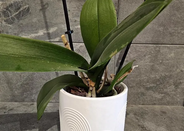 度假居 La Casa - Familal - 15min From Puy Dufou *