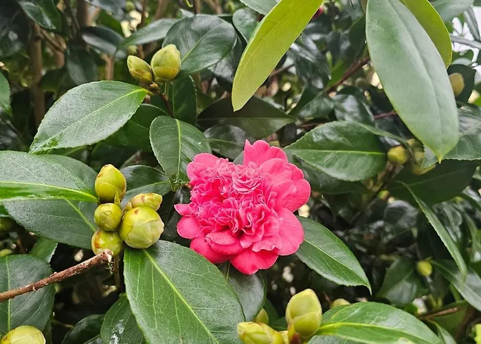 La Casa - Familal - 15min From Puy Dufou *